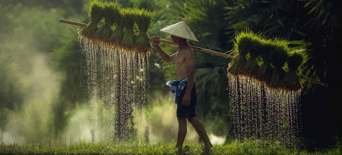 أرخص 10وجهات سياحية في آسيا