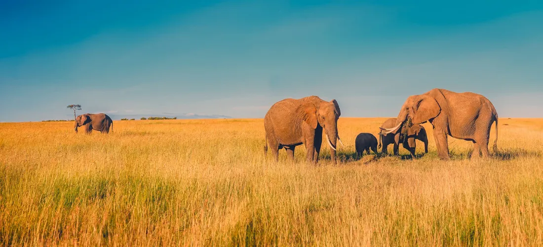 وجهات سياحية رخيصة في إفريقيا