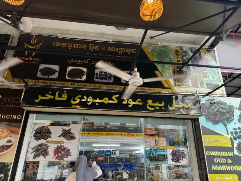 كمبوديا كما رأيتها: تجربتي بين الثقافة والتاريخ والطبيعة 24 كمبوديا