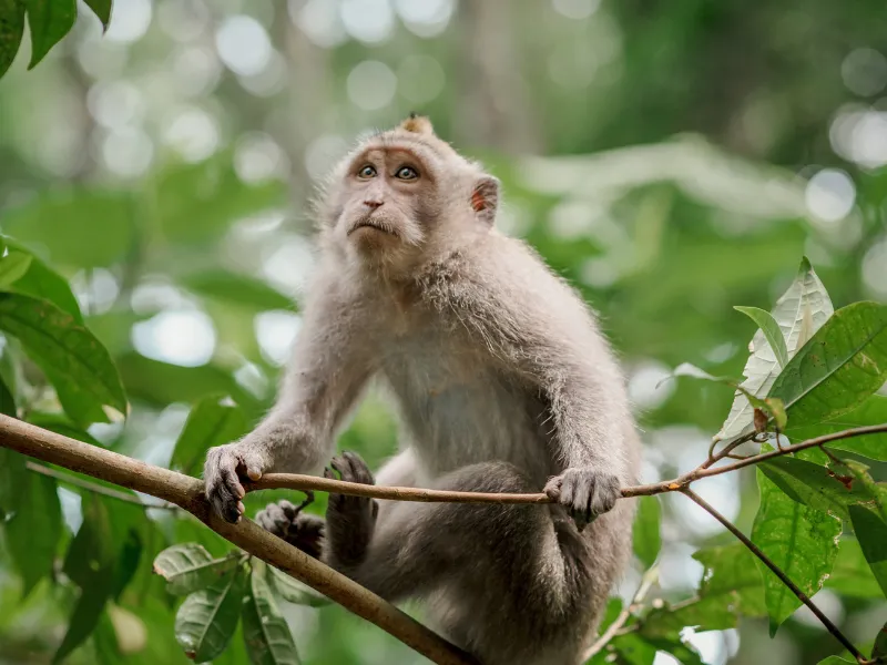 اكتشاف كونغهوا: جنة الينابيع الحارة والطبيعة في ريف قوانغتشو