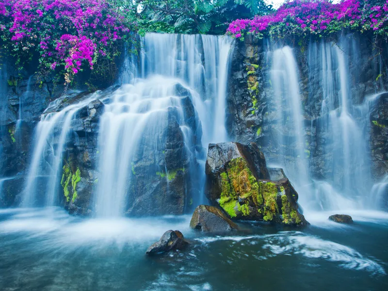 اكتشاف كونغهوا: جنة الينابيع الحارة والطبيعة في ريف قوانغتشو