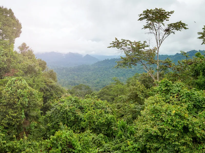 السياحة في سانيا الصين